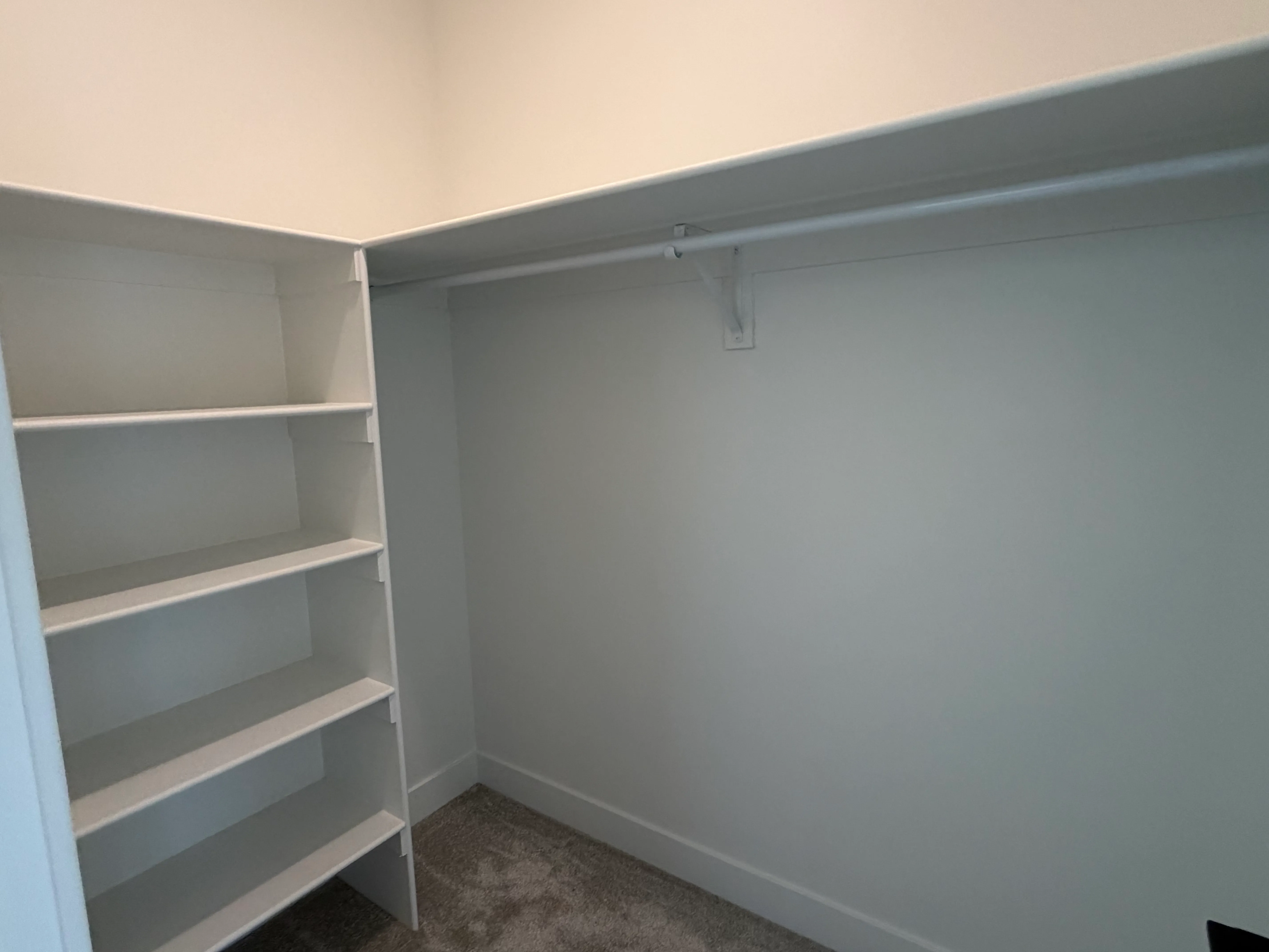 Walk-in closet with built-in white shelving and a hanging rod
